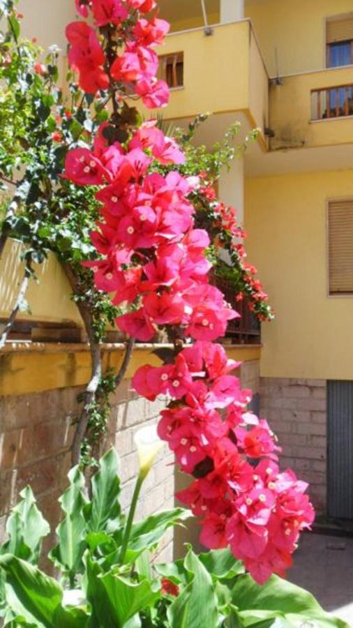 Al Trentados Bed & Breakfast Alghero Dış mekan fotoğraf